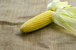 Single corn cob on brown sackcloth background. side view photo