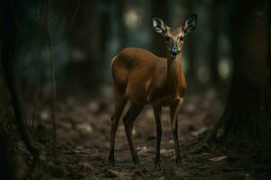 Deer animal forest standing. Generate Ai photo