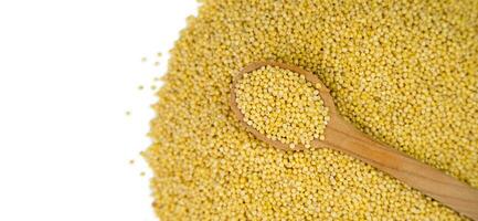 Millet groats in a wooden spoon isolated on a white background. Banner. Top view. Close-up. Selective focus. photo