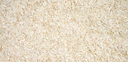White long rice. Natural background. Banner. Top view. Selective focus. photo