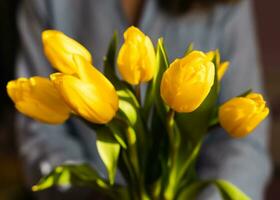 Woman's hands hold a bouquet of beautiful yellow tulips. Festive composition. Close-up. Selective focus. photo