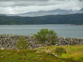 ship cruise in norway photo