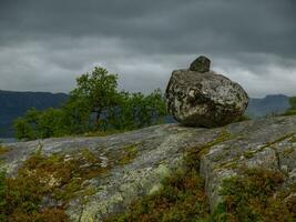 summer time in norway photo