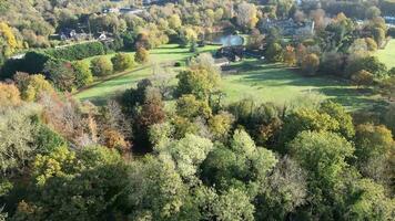 herfst tapijtwerk antenne keer bekeken van natuur en architectuur video