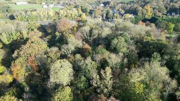 herfst tapijtwerk antenne keer bekeken van natuur en architectuur video