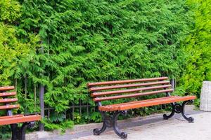 A bench in the city or in the park at the green plants background photo