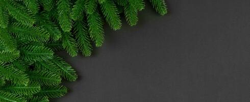Top view Banner of frame made of fir tree on colorful background with copy space. Merry Christmas concept photo