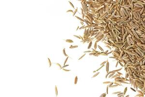 Cumin seeds isolated on white background photo