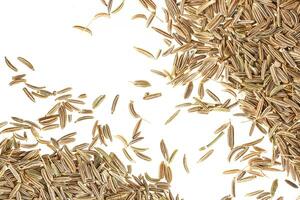 Cumin seeds isolated on white background photo