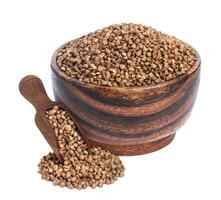 Buckwheat isolated on white background photo