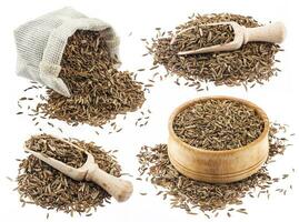 Cumin seeds isolated on white background photo