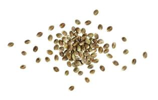 Hemp seeds isolated on white background with clipping path, close up, top view photo