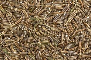 Cumin seeds or caraway texture photo