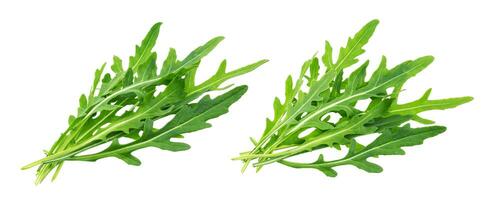 Rucola. Heap of fresh arugula leaves isolated on white background photo