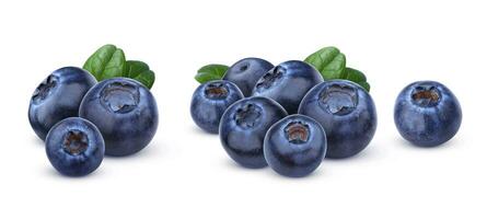 Blueberry isolated on white background with clipping path photo