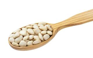 White kidney beans in wooden spoon isolated on white background photo
