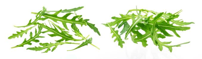 montón de Fresco rucola hojas aislado en blanco antecedentes con recorte camino foto