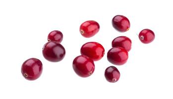 Fresh cranberries isolated on white background photo