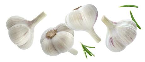 Garlic isolated on white background with clipping path photo