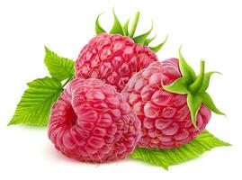 Raspberry isolated on white background with clipping path photo