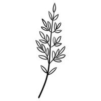 Drawn Vector Twig With Leaves on a White Background