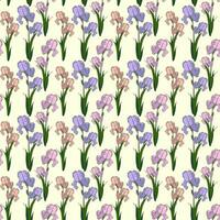 Seamless Pattern With Colorful Drawn Flowers vector