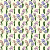 Seamless Pattern With Colorful Drawn Flowers vector