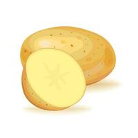 Potatoes with cut slices. Vector illustration on a white background