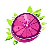 pink citrus with green leaves, grapefruit vector