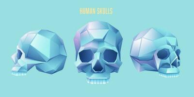 graphic of human skull presented with vivid colour low poly style vector