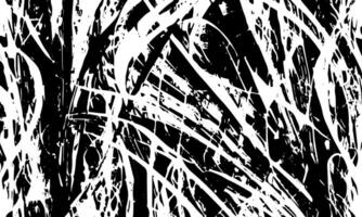 Grunge detailed black abstract texture. Vector