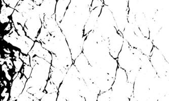 black and white marble texture background vector