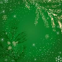 A winter background with branches of spruce and pine trees, cones and snowflakes. Template for the design of Christmas and New Year's congratulations, a festive cover, cards, poster. vector