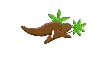 animated video of the cassava icon