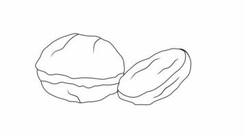 animated sketch of the jengkol fruit icon video