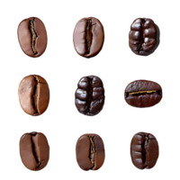 Set coffee beans png on isolated transparent background