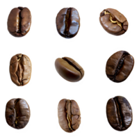 Set coffee beans png on isolated transparent background