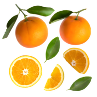 set fresh orange with leaves on isolated transparent background png