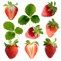 einstellen frh Blätter auf isoliert transparent Hintergrund Erdbeeren passend witnd png