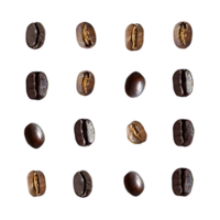 Set coffee beans png on isolated transparent background