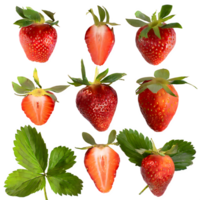 ensemble Frais des fraises fuit avec feuilles sur isolé transparent Contexte png