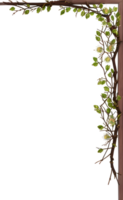 Twing Border Frame PNG Transparent Background Ai Generative