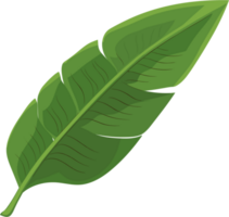 plátano hoja ilustración ai generativo png