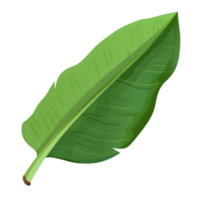 plátano hoja ilustración ai generativo png