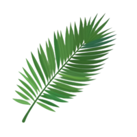 palm leaf illustration  ai generative png