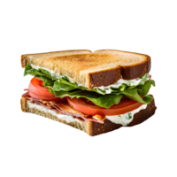 sandwich with meat and tomato  ai generative png