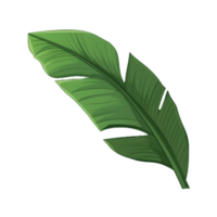 Banane Blatt Illustration ai generativ png