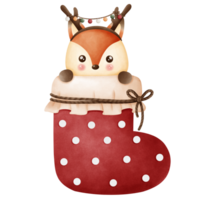 ittle fox in a Christmas sock png