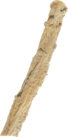 dang shen skära ut på transparent bakgrund. png