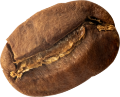 isolated coffee beans cut out on transparent background. png